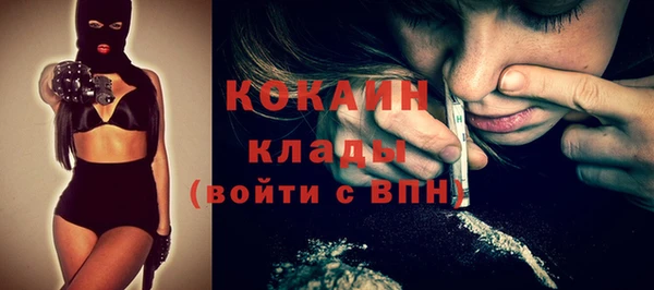 шишки Пересвет