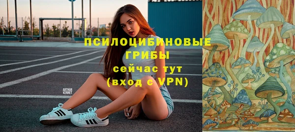 сатива Алексеевка