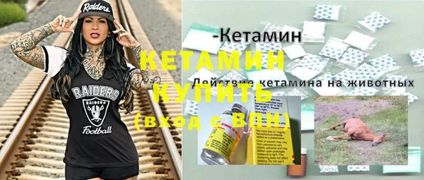 крисы Алексин