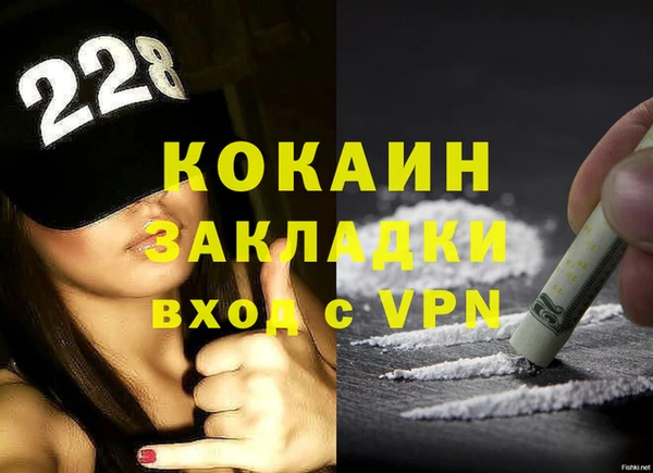 индика Аркадак