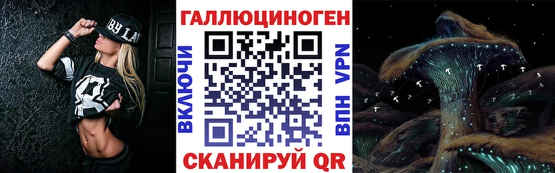 где купить   Ленинск  Галлюциногенные грибы MAGIC MUSHROOMS 